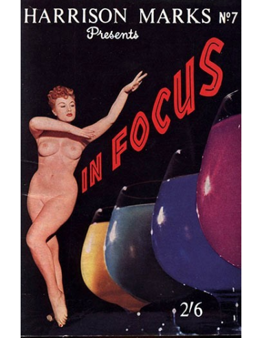 In Focus  No.7