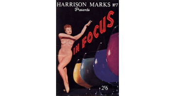 In Focus  No.7