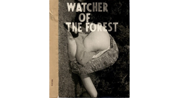 Watcher of The Forest