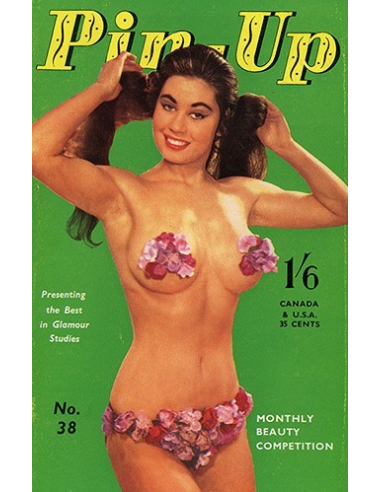 Pin Up No.38