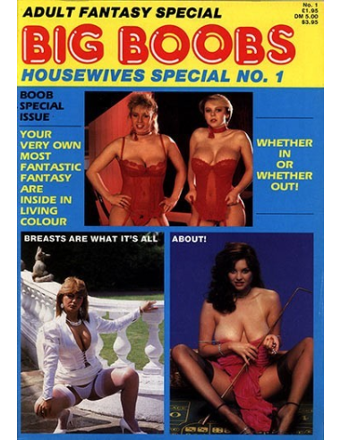 Big Boobs Housewives Special No.01