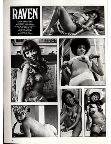 Raven Vol.1 No.2