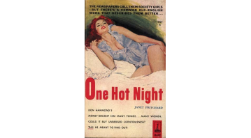 One Hot Night