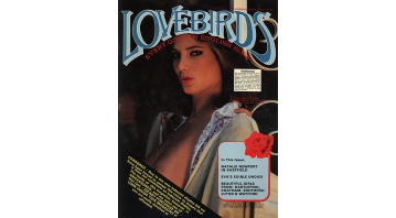 Lovebirds No.45