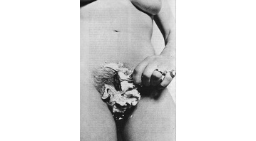 Janus Vol.2 No.12
