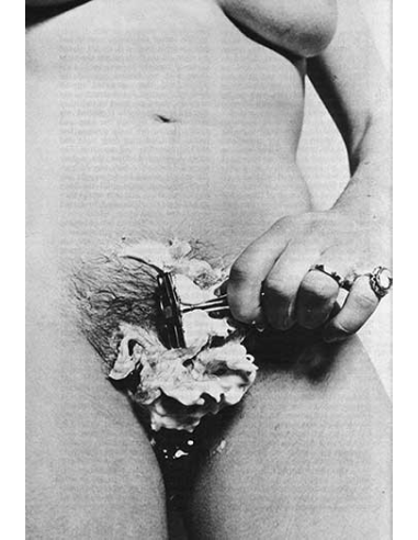 Janus Vol.2 No.12