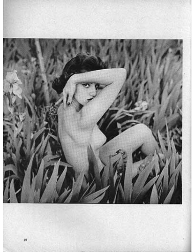 taboo vol.1 no.7