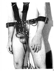Savaged Studs Vol.01 No.01 © RamBooks 2