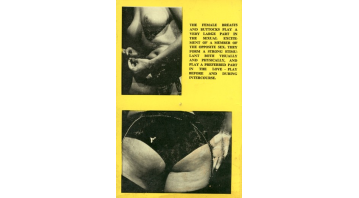 Buttocks & Breasts In Pictures