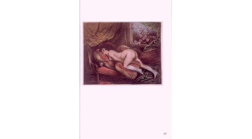 The Illustrated Book of Stockings